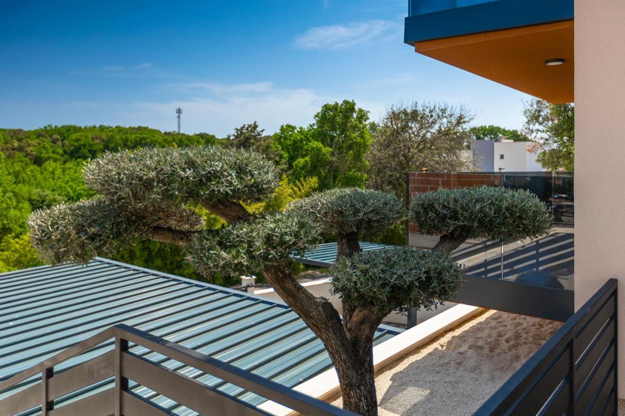 Exclusive Apartments Ellen & Micol-With 3 Free Mountain Bikes Pjescana Uvala Exteriér fotografie